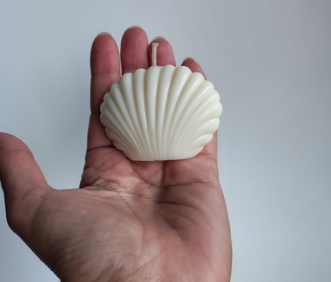 Ostra de Mar pequeña